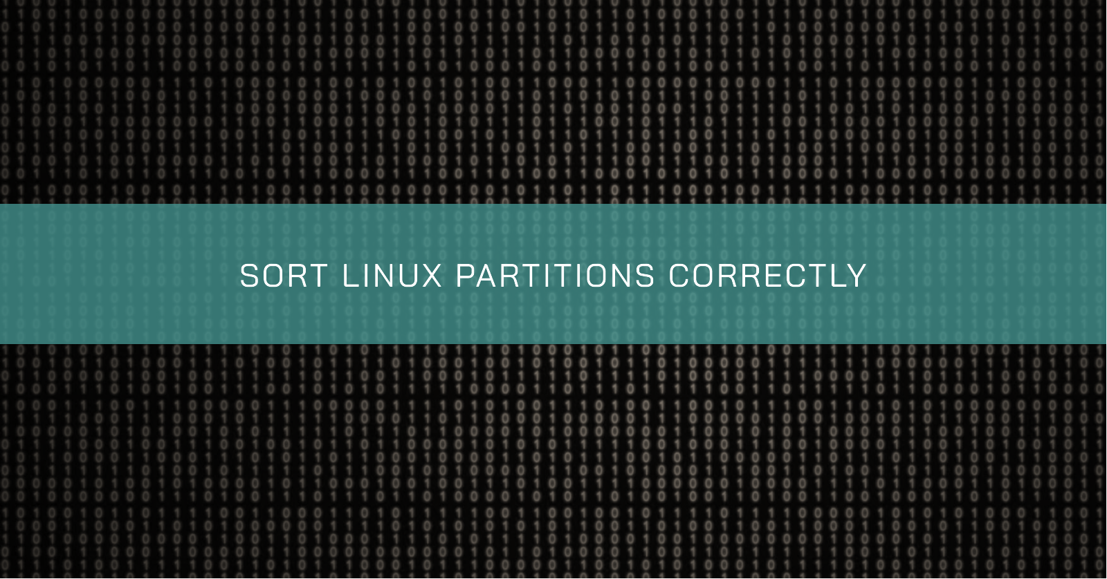 /sort-linux-partitions-correctly/banner.en.png